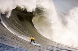 开云平台-钟山风雨压北境，江苏队主场演绎团队篮球的终极形态