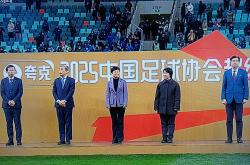 开云体育中国-关于上海申花新援发挥出色，助球队夺得连胜的信息