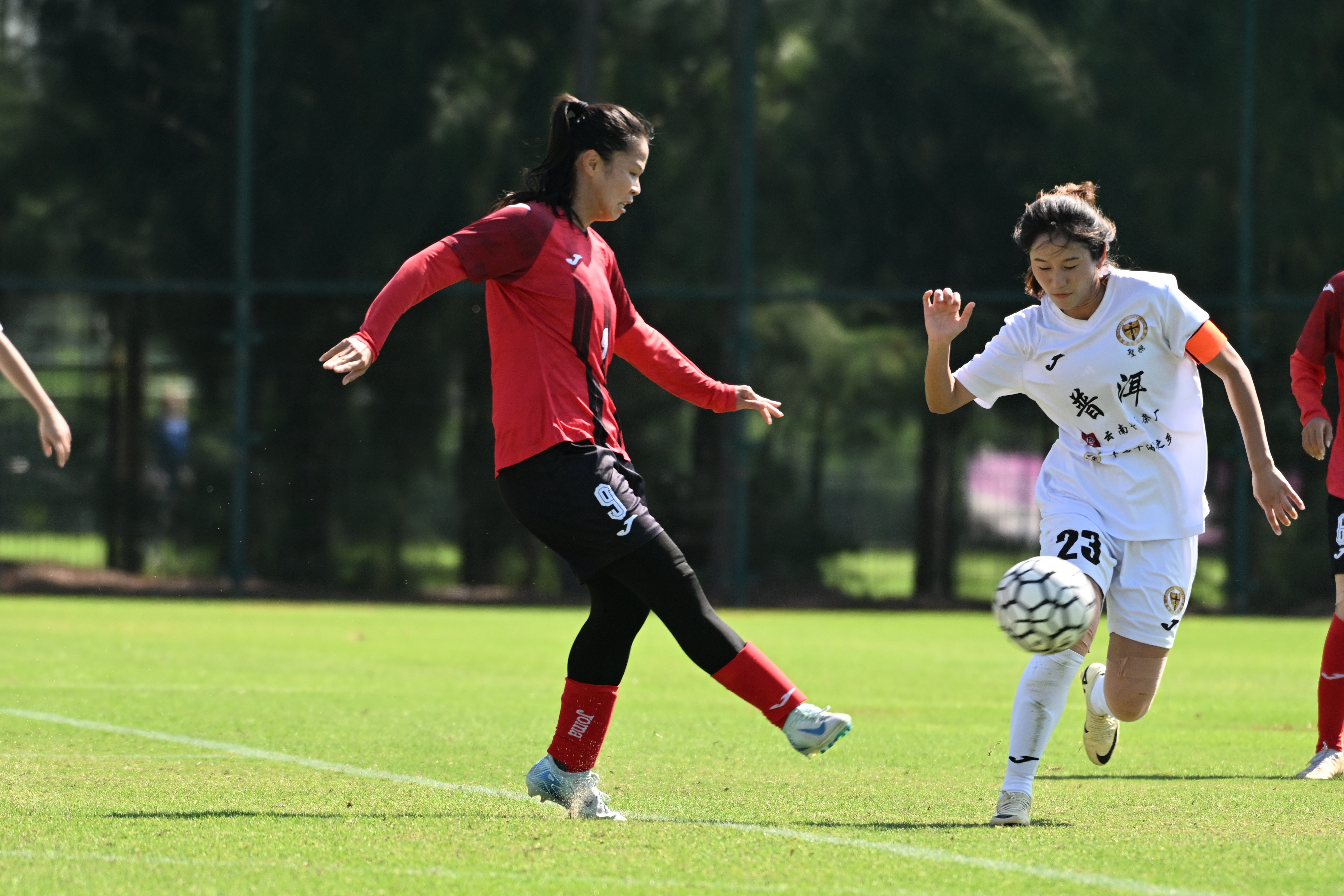 关于美洲足球对决赛：女足选手全力拼搏的信息